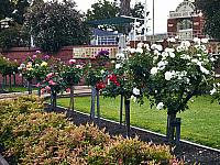 Camden RSL
