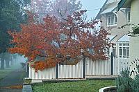 Menangle Road